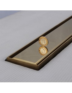 Foto ravvicinata dello scarico Oro integrato con copertura Ponente 